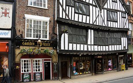 the golden fleece